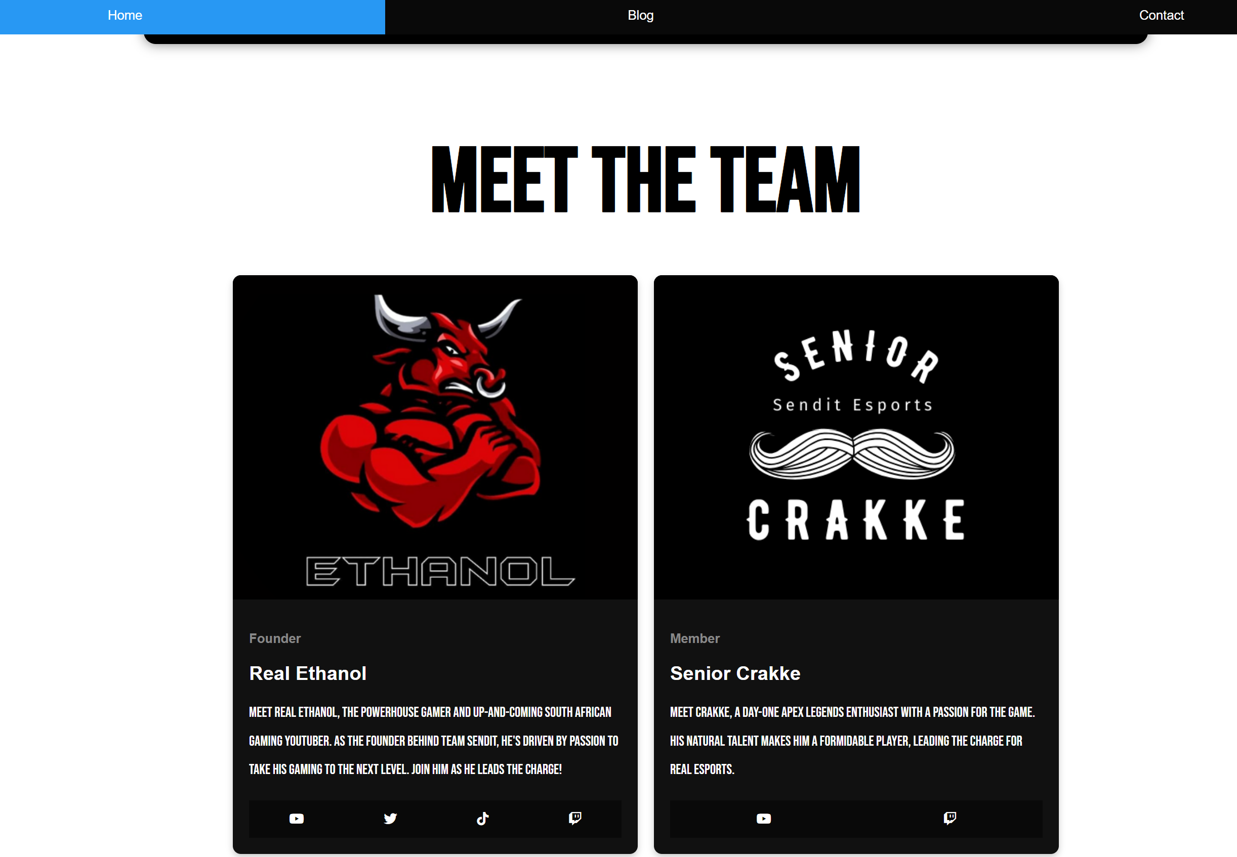 ESPORTS TEAM